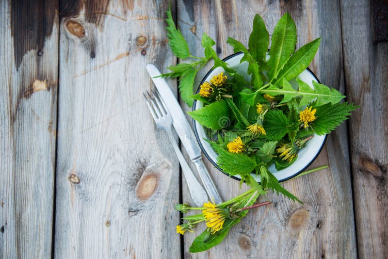 El cierre encima de la ensalada deja las hierbas del jardín y las flores comestibles Nutrición sana Fondo del alimento imagen de archivo El cierre encima de la ensalada deja las hierbas del jardín y las flores comestibles Nutrición sana Fondo del alimento imagen de archivo