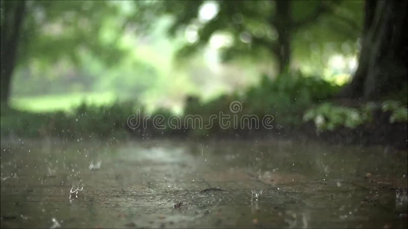 El cierre excelente encima de la cámara lenta satisfactoria constante tiró de las gotas de lluvia del aguacero que bajaban en el almacen de metraje de vídeo El cierre excelente encima de la cámara lenta satisfactoria constante tiró de las gotas de lluvia del aguacero que bajaban en el almacen de metraje de vídeo
