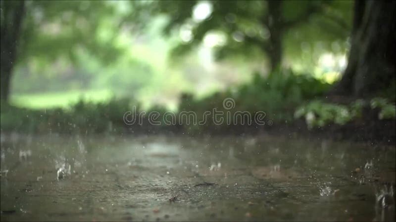 El cierre maravilloso encima de la cámara lenta constante satisfactoria tiró de las gotas de lluvia del aguacero que bajaban en e almacen de video El cierre maravilloso encima de la cámara lenta constante satisfactoria tiró de las gotas de lluvia del aguacero que bajaban en e almacen de video