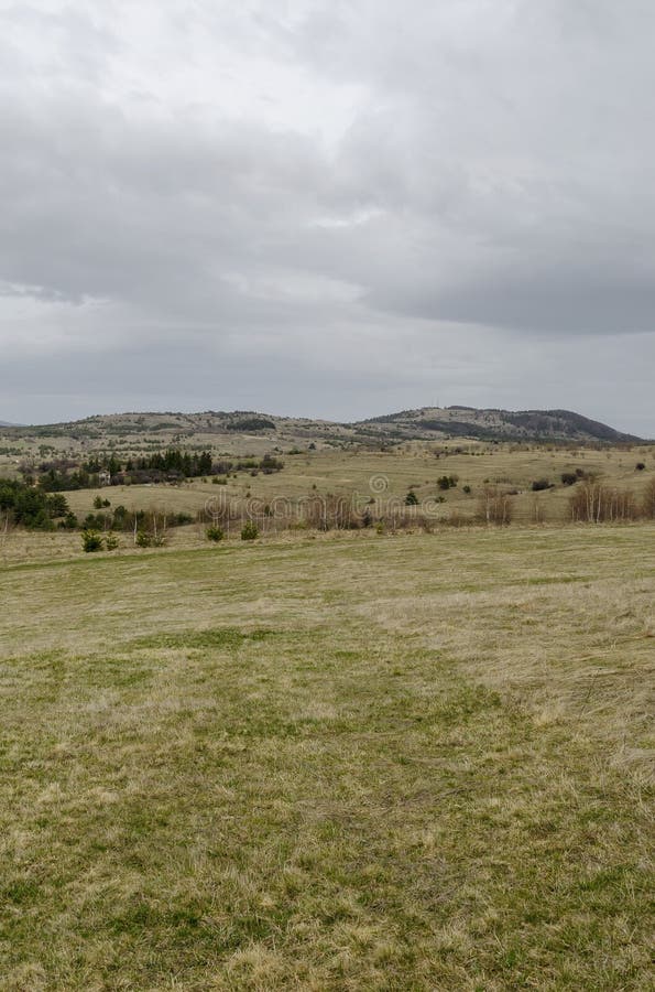 El claro extenso de la primavera con diversa hierba seca y nueva, el arbusto y el árbol hacia Manastirishte enarbolan. Claro extenso de la primavera con diversa hierba, el arbusto y el árbol secos y nuevos hacia el pico de Manastirishte, montaña de Plana, Bulgaria