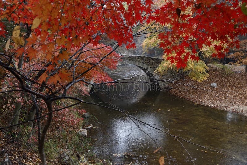 El color del otoño y la piedra vieja arquearon el puente en el pueblo popular tradicional de Namsangol, Seul, Corea del Sur - nov fotos de archivo libres de regalías El color del otoño y la piedra vieja arquearon el puente en el pueblo popular tradicional de Namsangol, Seul, Corea del Sur - nov fotos de archivo libres de regalías