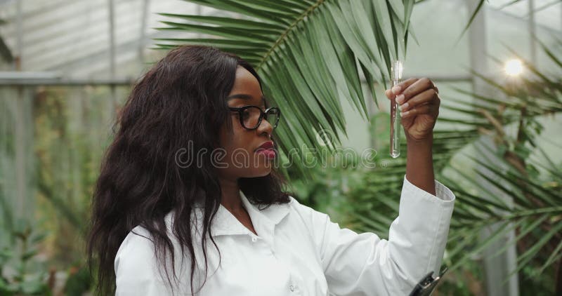 El concepto de investigación sobre modificaciones fitogenéticas. bióloga o científica de mujeres afroamericanas que trabajan en un almacen de metraje de vídeo