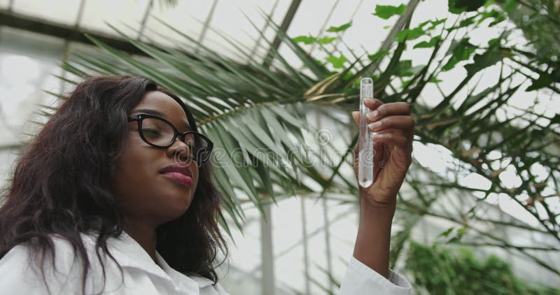 El concepto de investigación sobre modificaciones fitogenéticas. bióloga o científica de mujeres afroamericanas que trabajan en un almacen de video