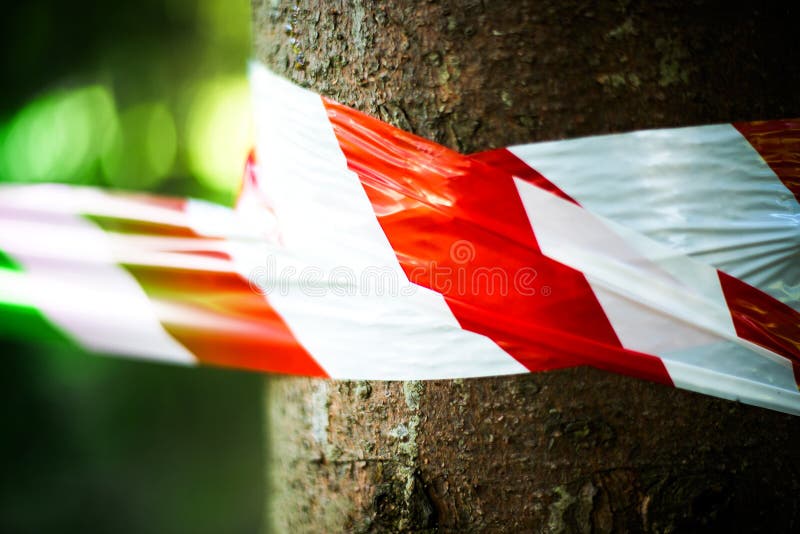 El concepto de protección del medio ambiente, un árbol envuelto en papeleo foto de archivo libre de regalías El concepto de protección del medio ambiente, un árbol envuelto en papeleo foto de archivo libre de regalías