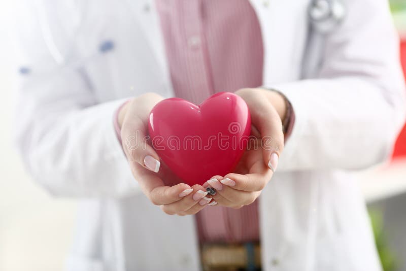 Female doctor hold in arms and cover red toy heart closeup. Cardio therapeutist student education CPR 911 life save physician make cardiac physical pulse rate measure arrhythmia lifestyle. Female doctor hold in arms and cover red toy heart closeup. Cardio therapeutist student education CPR 911 life save physician make cardiac physical pulse rate measure arrhythmia lifestyle