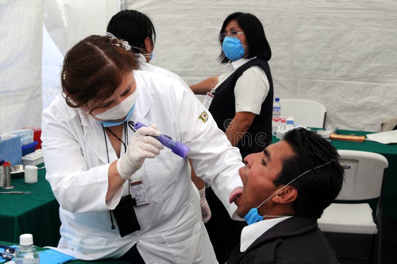 El controlar para saber si hay gripe de los cerdos H1N1 fotos de archivo libres de regalías El controlar para saber si hay gripe de los cerdos H1N1 fotos de archivo libres de regalías