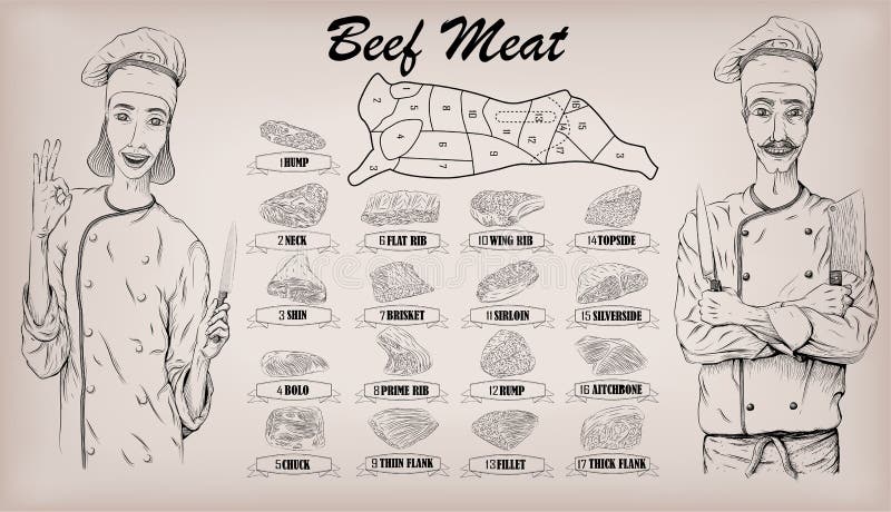 El corte de la res muerta de la carne de la carne de vaca taja el cartel de la muestra del esquema de los gráficos de la informac ilustración del vector El corte de la res muerta de la carne de la carne de vaca taja el cartel de la muestra del esquema de los gráficos de la informac ilustración del vector