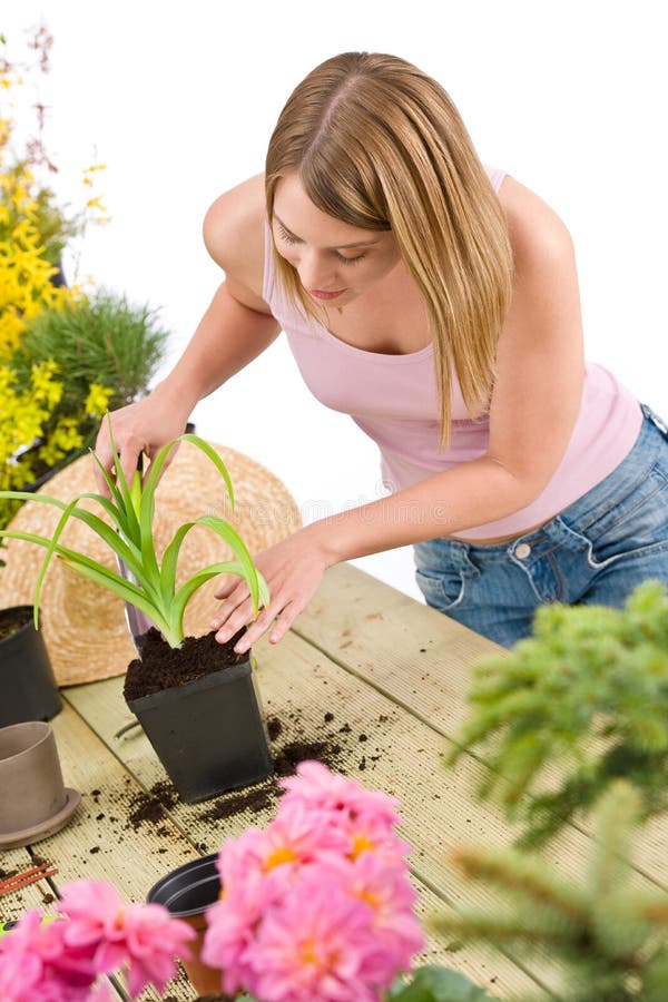 El cultivar un huerto - la mujer con la pala toma el cuidado de la planta
