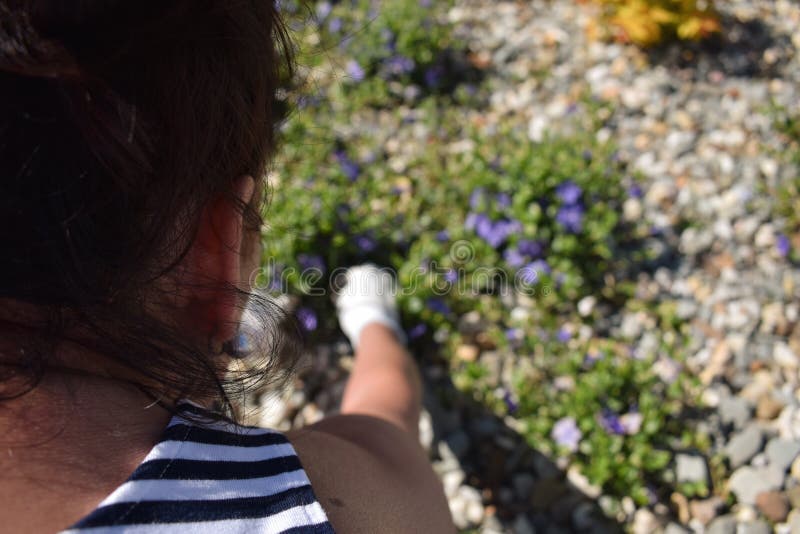 El cultivar un huerto - una mujer que cultiva sus flores en el jardín fotos de archivo libres de regalías El cultivar un huerto - una mujer que cultiva sus flores en el jardín fotos de archivo libres de regalías