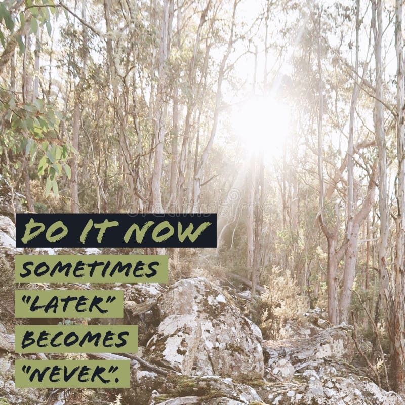 Inspirational motivational quote `Do it now. Sometimes later becomes never.` with mountain and sun background. Inspirational motivational quote `Do it now. Sometimes later becomes never.` with mountain and sun background.