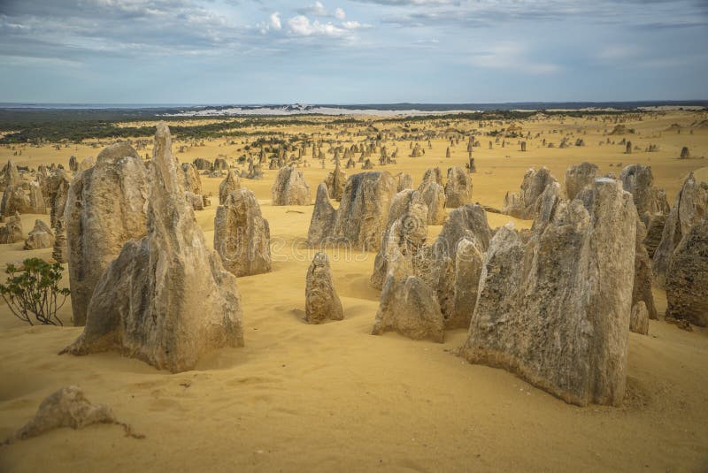 El desierto de los pináculos de Australia foto de archivo El desierto de los pináculos de Australia foto de archivo