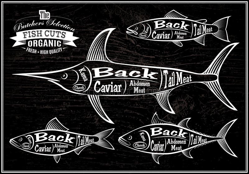 El diagrama cortó los salmones de las reses muertas, peces espadas, arenques, atún ilustración del vector El diagrama cortó los salmones de las reses muertas, peces espadas, arenques, atún ilustración del vector