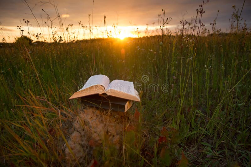 El diario abierto del libro del libro encuadernado, las páginas avivadas en la naturaleza borrosa aterriza fotos de archivo libres de regalías El diario abierto del libro del libro encuadernado, las páginas avivadas en la naturaleza borrosa aterriza fotos de archivo libres de regalías