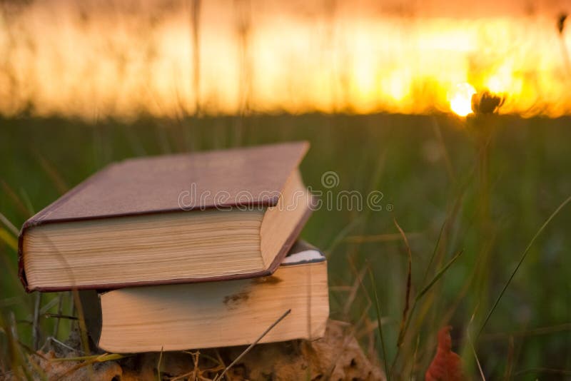 El diario abierto del libro del libro encuadernado, las páginas avivadas en la naturaleza borrosa aterriza imagen de archivo El diario abierto del libro del libro encuadernado, las páginas avivadas en la naturaleza borrosa aterriza imagen de archivo