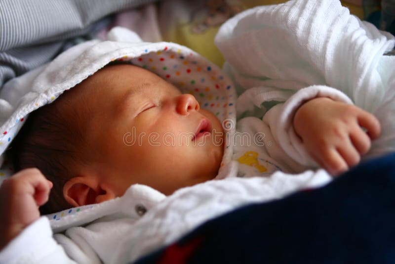 El dormir recién nacido fotografía de archivo libre de regalías El dormir recién nacido fotografía de archivo libre de regalías