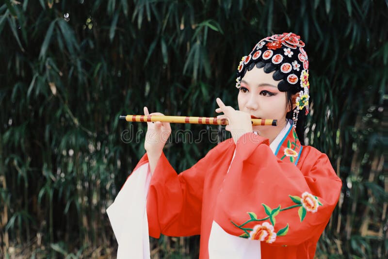 El drama tradicional de China de la mujer de Aisa de Pekín Pekín de la ópera de los trajes del jardín chino del vestido realiza l
