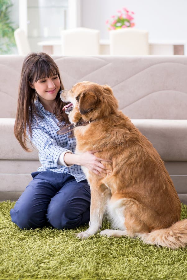 El Dueño Feliz Del Perro De La Mujer En Casa Con Golden Retriever Foto