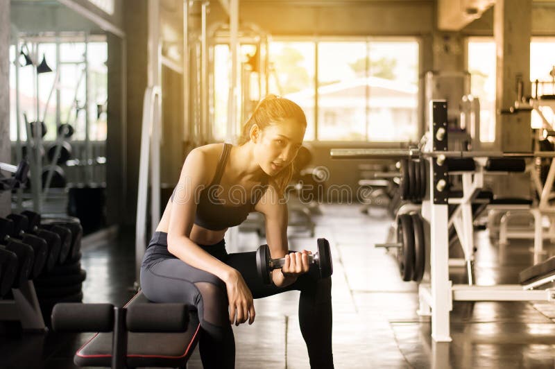 El ejercicio asiático fuerte de la mujer con las pesas de gimnasia que se sientan en el banco, hembra en ropa de deportes hace lo foto de archivo El ejercicio asiático fuerte de la mujer con las pesas de gimnasia que se sientan en el banco, hembra en ropa de deportes hace lo foto de archivo