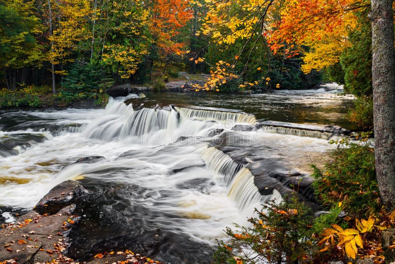 El enlace de la parte superior cae en el otoño fotografía de archivo libre de regalías El enlace de la parte superior cae en el otoño fotografía de archivo libre de regalías