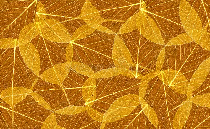El esqueleto decorativo sale del fondo fotografía de archivo libre de regalías El esqueleto decorativo sale del fondo fotografía de archivo libre de regalías