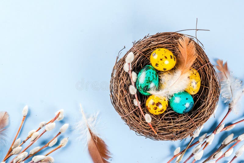 El fondo de Pascua con el ` s del pájaro jerarquiza y eggs fotos de archivo libres de regalías El fondo de Pascua con el ` s del pájaro jerarquiza y eggs fotos de archivo libres de regalías