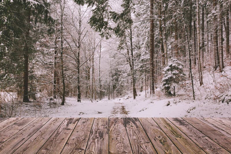 El fondo del invierno con el bosque de madera de la terraza y de la naturaleza ajardina Concepto del día de fiesta de la Navidad imagen de archivo