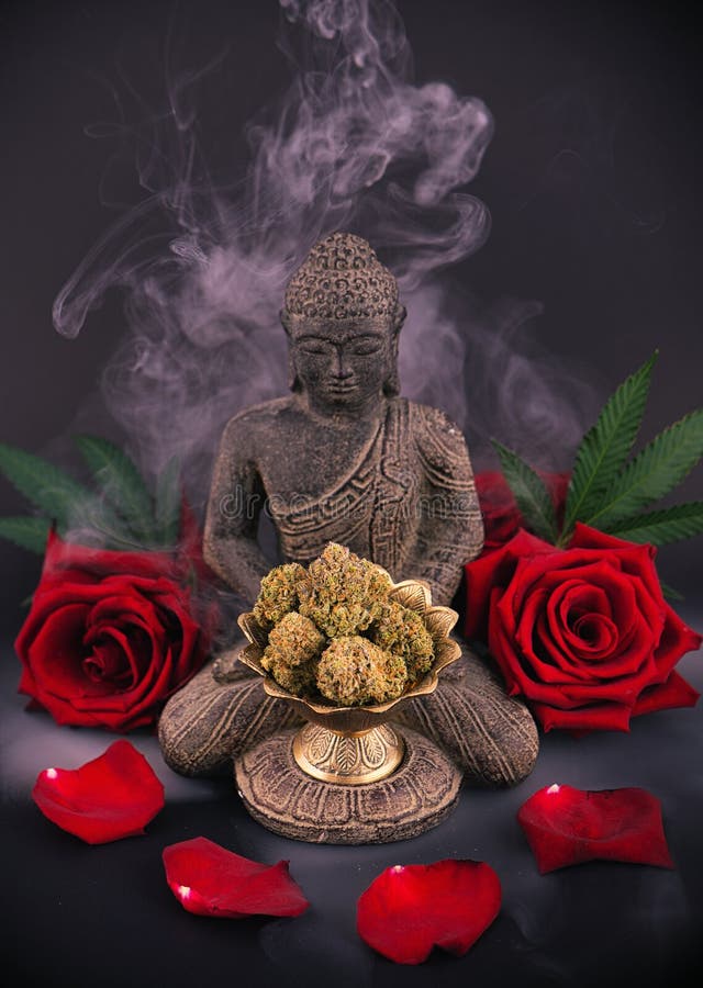 El fondo del zen con las rosas y el cáñamo florece - la marijuana médica foto de archivo El fondo del zen con las rosas y el cáñamo florece - la marijuana médica foto de archivo