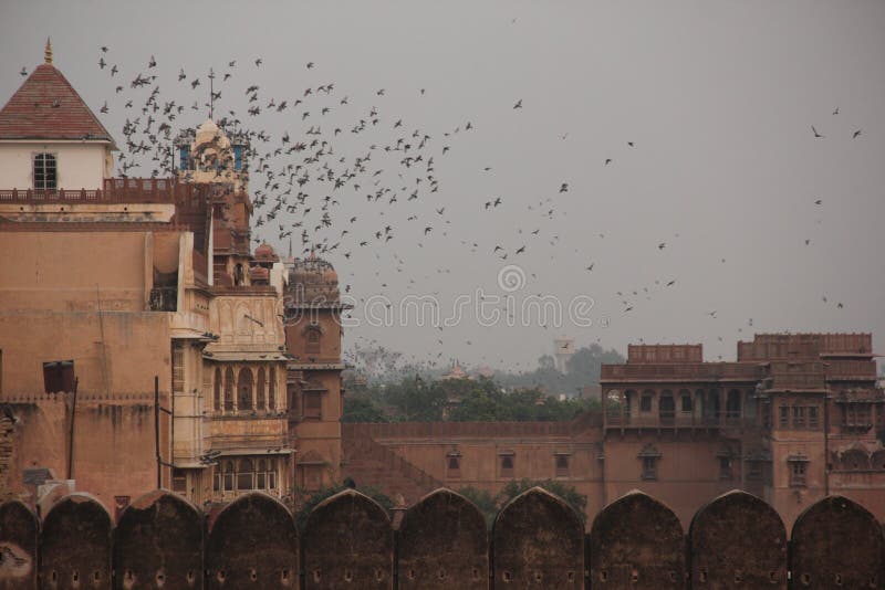 El fuerte de Junagarh de Bikaner fotografía de archivo libre de regalías El fuerte de Junagarh de Bikaner fotografía de archivo libre de regalías