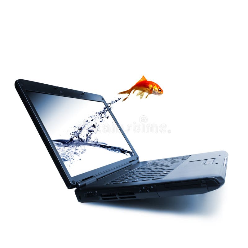 El Goldfish salta El Goldfish salta