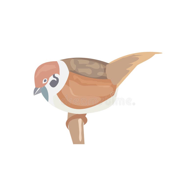 El gorrión, pájaro del gorrión de la ciudad, ejemplo del vector, gorrión vive ilustración del vector El gorrión, pájaro del gorrión de la ciudad, ejemplo del vector, gorrión vive ilustración del vector