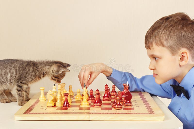 El grandmaster del principiante con el gatito juguetón juega a ajedrez