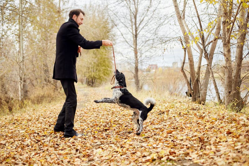 El hombre camina en la caída con un perro de aguas del perro con los oídos largos en el parque del otoño Las fiestas y los juegos foto de archivo El hombre camina en la caída con un perro de aguas del perro con los oídos largos en el parque del otoño Las fiestas y los juegos foto de archivo