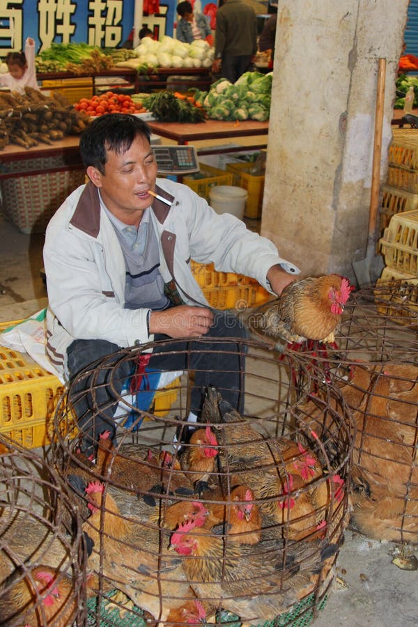 El hombre está vendiendo pollos vivos en el mercado cerca de Guilin en China imagen de archivo libre de regalías El hombre está vendiendo pollos vivos en el mercado cerca de Guilin en China imagen de archivo libre de regalías