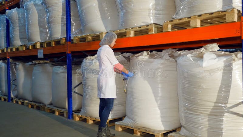 El inspector recoge una muestra del grano en la acción - mijo en bolsos