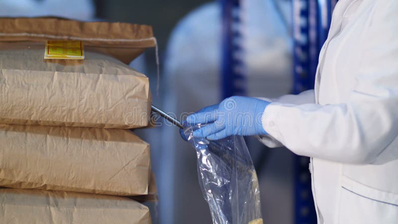 El inspector recoge una muestra del grano en la acción - mijo en bolsos