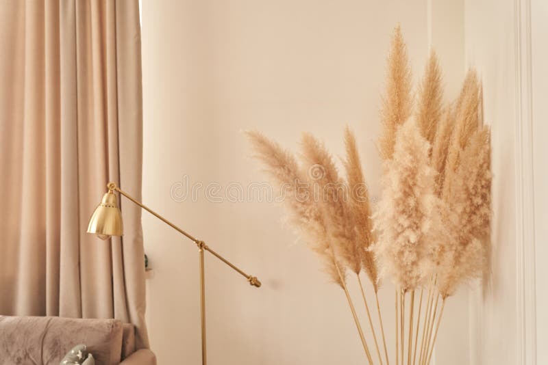 El interior de la sala de estar mobiliario moderno con flores secas de moda, un sofá claro y una lámpara de pie. con imagen de archivo libre de regalías