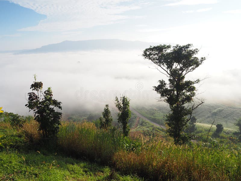 El invierno deja la niebla imagenes de archivo El invierno deja la niebla imagenes de archivo