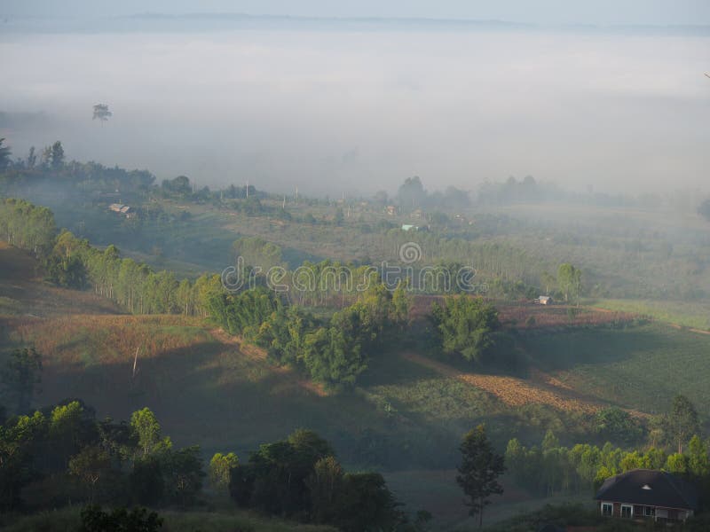 El invierno deja la niebla fotografía de archivo El invierno deja la niebla fotografía de archivo