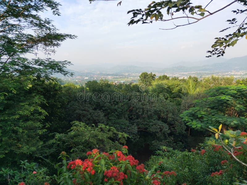 El jardín de la cima de una colina imagen de archivo libre de regalías El jardín de la cima de una colina imagen de archivo libre de regalías