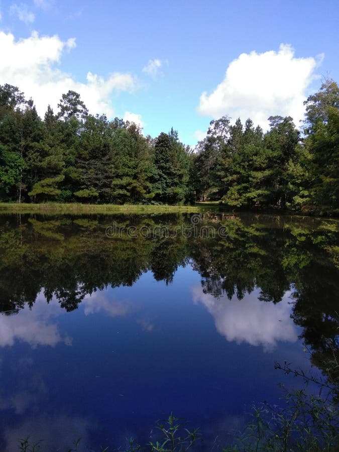 Lago shadow foto de archivo. Imagen de claro, árbol, azul 2921914