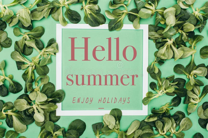 el marco blanco con verano de las palabras hola, goza de días de fiesta y de las hojas frescas del verde stock de ilustración el marco blanco con verano de las palabras hola, goza de días de fiesta y de las hojas frescas del verde stock de ilustración