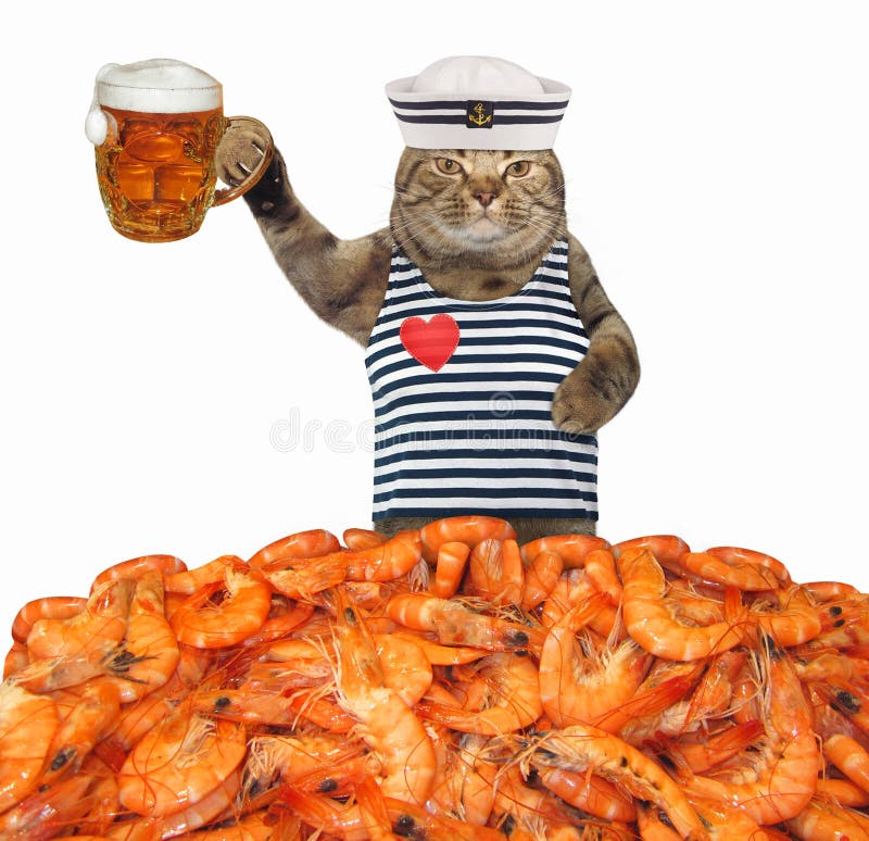 El marinero del gato bebe la cerveza con el camarón imagen de archivo El marinero del gato bebe la cerveza con el camarón imagen de archivo