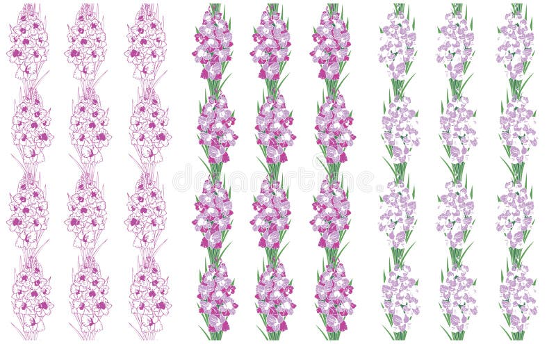 El modelo florece el gladiolo en un fondo blanco ilustración del vector El modelo florece el gladiolo en un fondo blanco ilustración del vector
