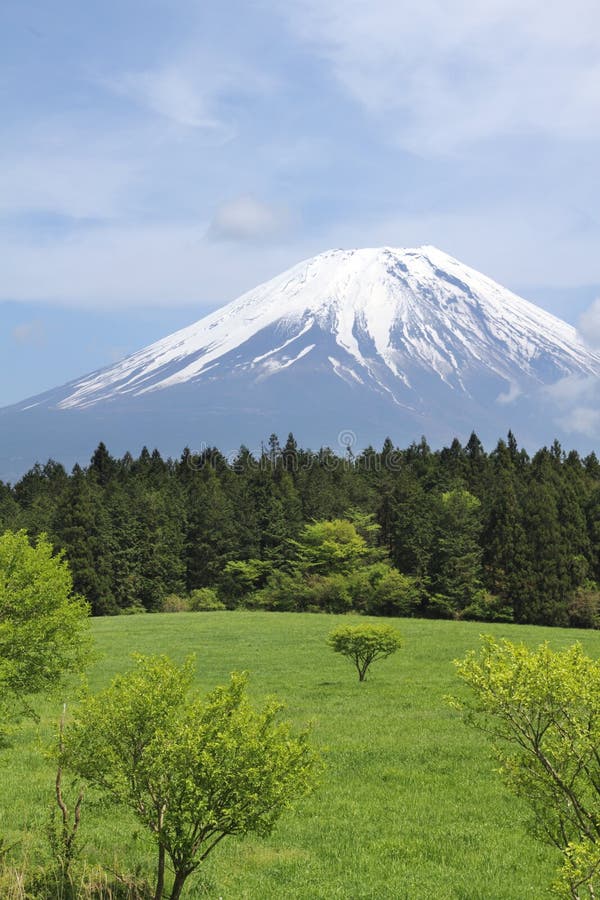 El monte Fuji, Japón imágenes de archivo libres de regalías