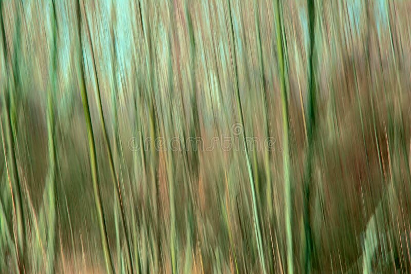 El movimiento del extracto empañó el fondo con las líneas verticales en tintes verdes y marrones fotos de archivo libres de regalías El movimiento del extracto empañó el fondo con las líneas verticales en tintes verdes y marrones fotos de archivo libres de regalías