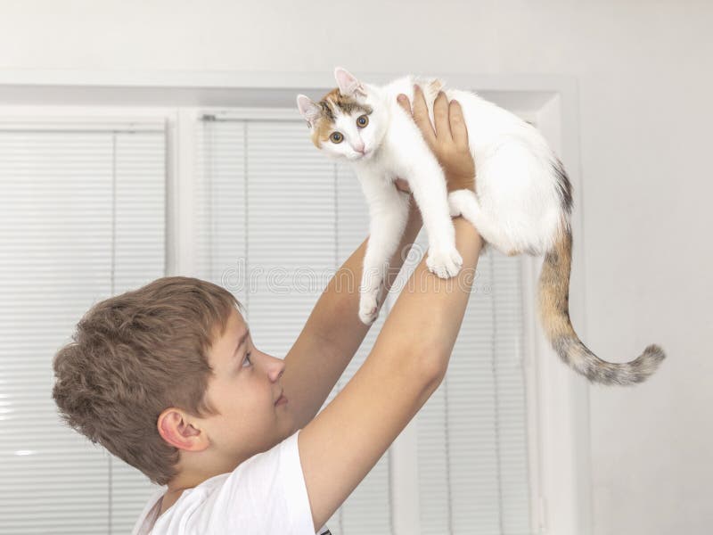 El muchacho sostiene el gatito en sus manos, levantándolo para arriba fotos de archivo libres de regalías El muchacho sostiene el gatito en sus manos, levantándolo para arriba fotos de archivo libres de regalías