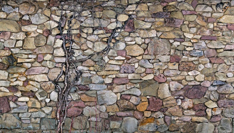 El multicolor apiló la pared de piedra con la vid vieja fotografía de archivo El multicolor apiló la pared de piedra con la vid vieja fotografía de archivo