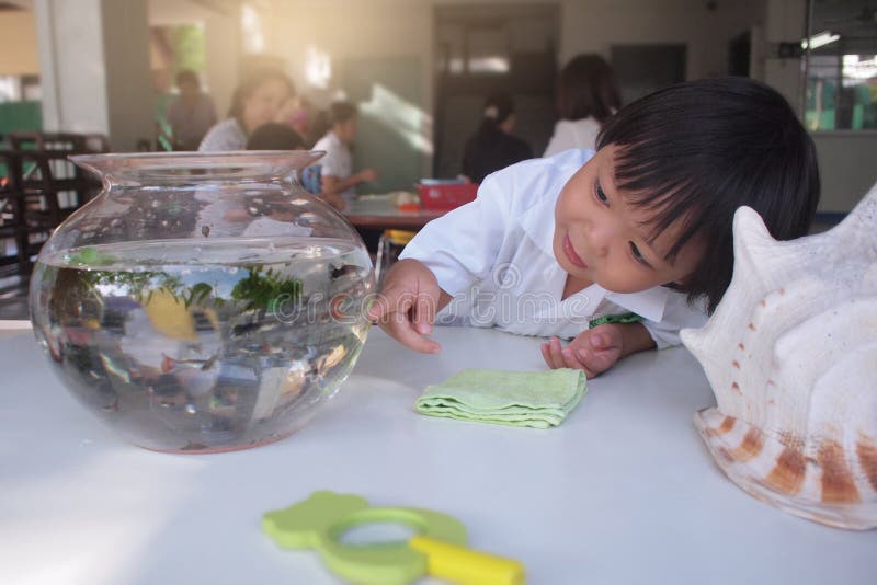 El niño asiático goza el mirar de fishs que nada en un acuario redondo del cuenco de los pescados imagenes de archivo El niño asiático goza el mirar de fishs que nada en un acuario redondo del cuenco de los pescados imagenes de archivo