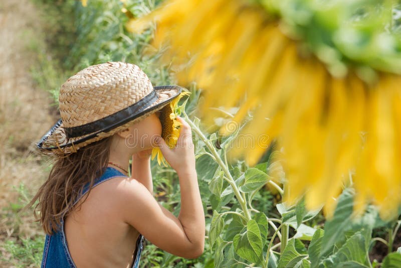 El niño está oliendo una flor de un girasol imagen de archivo El niño está oliendo una flor de un girasol imagen de archivo