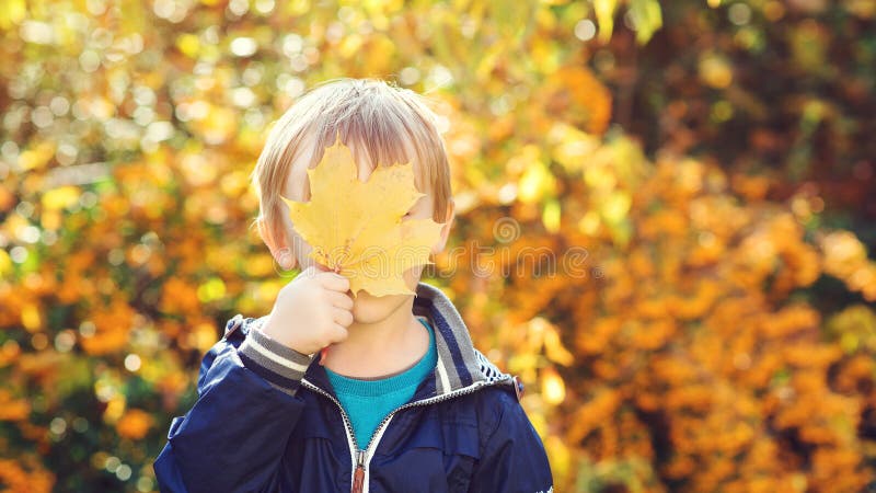 El niño pequeño sostiene la hoja de arce al aire libre Autumn Time El niño oculta por la hoja de arce amarilla Niño feliz que jue imagen de archivo libre de regalías El niño pequeño sostiene la hoja de arce al aire libre Autumn Time El niño oculta por la hoja de arce amarilla Niño feliz que jue imagen de archivo libre de regalías